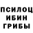 Псилоцибиновые грибы прущие грибы Soobin Kim