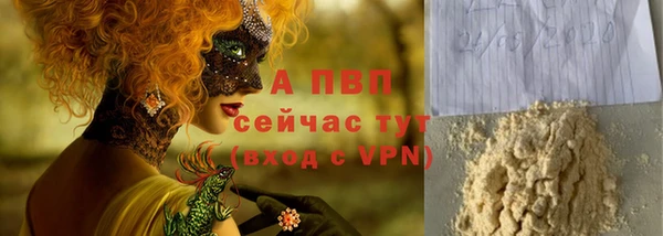 индика Абаза