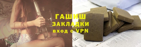 индика Абаза