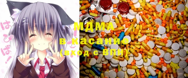 индика Абаза