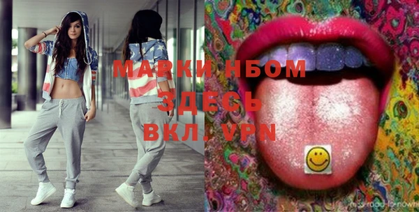 индика Абаза
