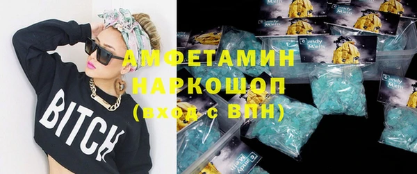 индика Абаза