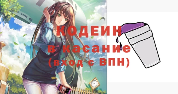 индика Абаза