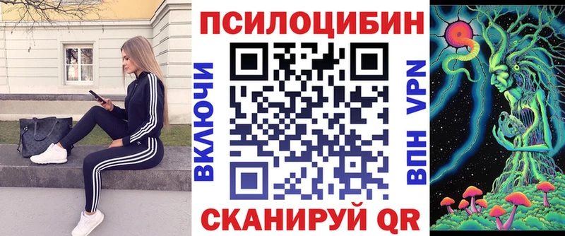 Галлюциногенные грибы Cubensis  Александровск 